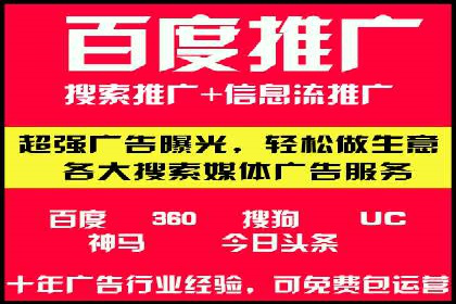 SEM代理操作技巧：成功案例揭秘